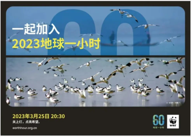地球一小時|將軍陶瓷集團(tuán)邀您共同為環(huán)保助力