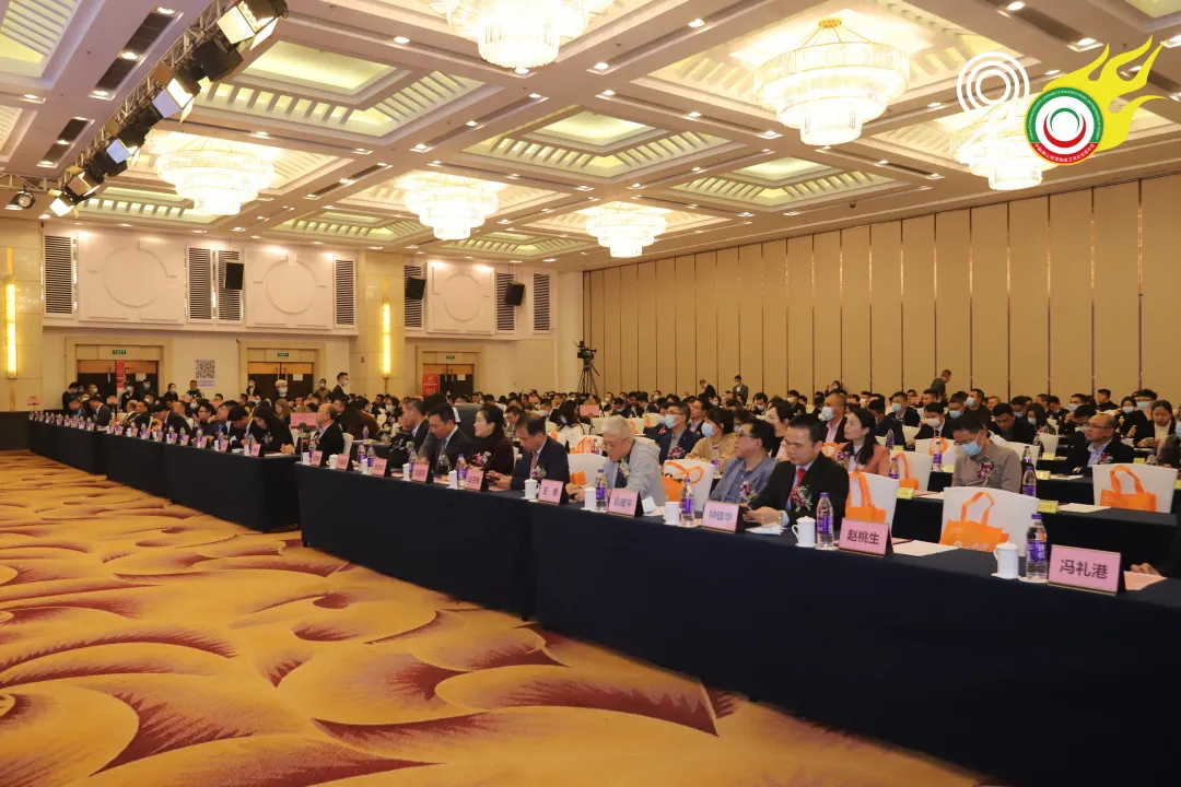 榮譽(yù)加冕！將軍巖板榮獲“2021年度優(yōu)秀巖板/大板品牌企業(yè)”稱號！(圖2)